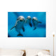 Three Dolphins Underwater Wall Decal