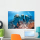 three dolphins close up portrait underwater while looking at you Wall Mural