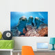 three dolphins close up portrait underwater while looking at you Wall Mural