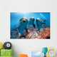 three dolphins close up portrait underwater while looking at you Wall Mural