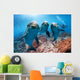 three dolphins close up portrait underwater while looking at you Wall Mural