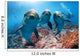 three dolphins close up portrait underwater while looking at you Wall Mural