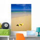 Plumeria Blossoms Lie on White Sand Wall Mural