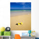 Plumeria Blossoms Lie on White Sand Wall Mural