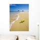plumeria blossoms lie on white sand by the tropical pacific Wall Mural