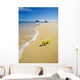 plumeria blossoms lie on white sand by the tropical pacific Wall Mural
