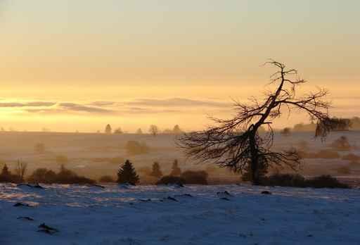 UNESCO Biosphere Reserve Rhon Wall Decal