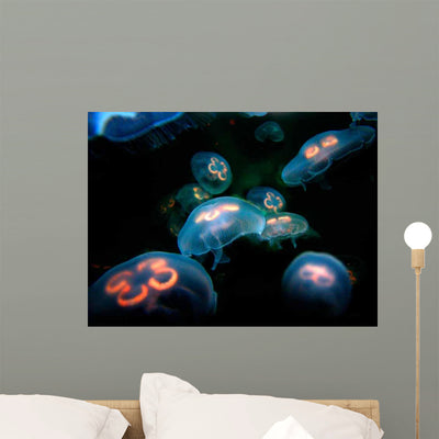 Jelly Fish Wall Decal shown on a wall