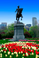 Boston Public Garden Wall Mural