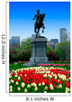 Boston Public Garden Wall Mural
