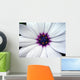 a white flower with a purple center Wall Mural