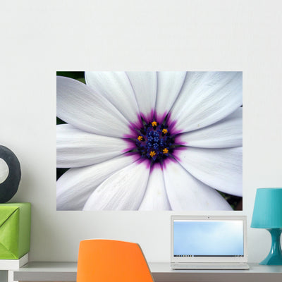 White Flower with Purple Wall Mural shown on a wall