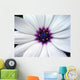 a white flower with a purple center Wall Mural