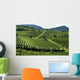 Italian Vineyards 6 Wall Decal