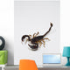 Scorpione Wall Decal