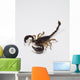 Scorpione Wall Decal