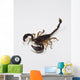 Scorpione Wall Decal