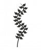 kelp plant isolated icon vector illustration design Wall Decal
