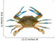 Blue crab isolated on white background Wall Decal