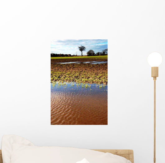 Flooded Field Wall Decal