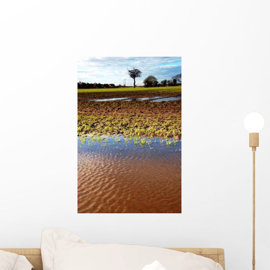 Flooded Field Wall Decal
