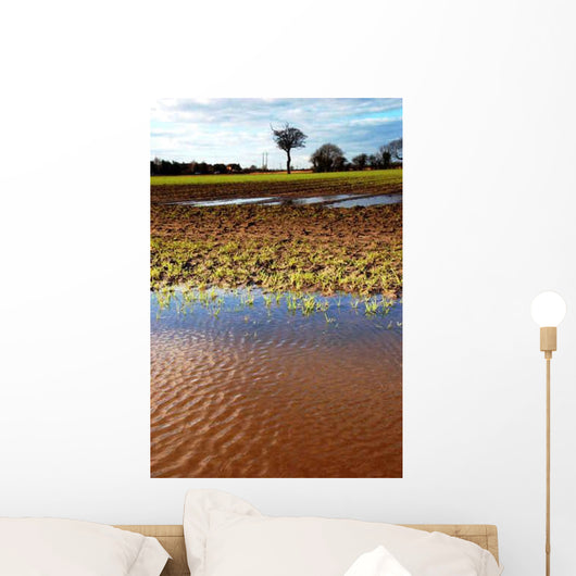 Flooded Field Wall Decal