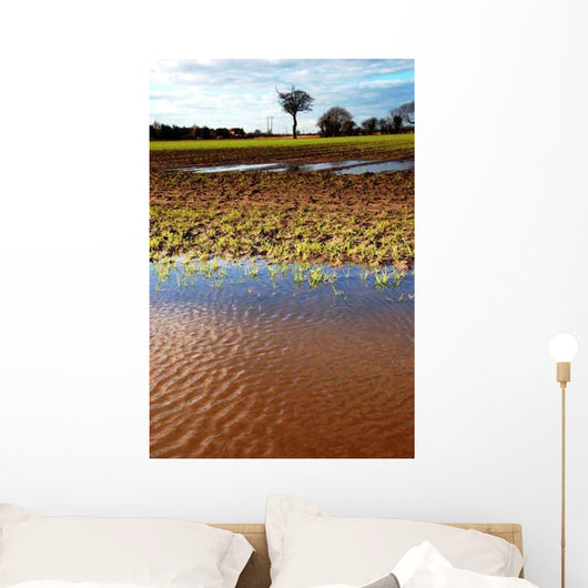 Flooded Field Wall Decal