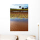 Flooded Field Wall Decal