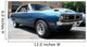 Muscle Car Wall Mural
