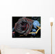black rose Wall Mural