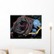 black rose Wall Mural
