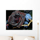 black rose Wall Mural