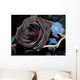 black rose Wall Mural