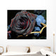 black rose Wall Mural