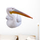 Seated Pelican Wall Decal