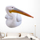 Seated Pelican Wall Decal