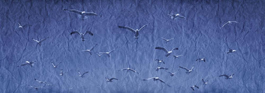 Group Birds Wall Decal Design 2