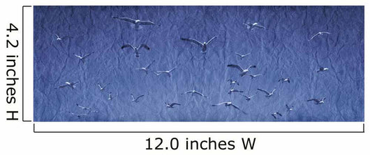 Group Birds Wall Decal Design 2