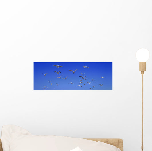 Group Birds Wall Decal Design 1