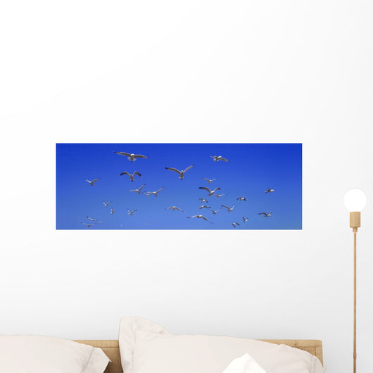 Group Birds Wall Decal Design 1