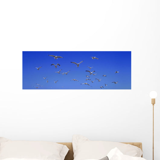 Group Birds Wall Decal Design 1