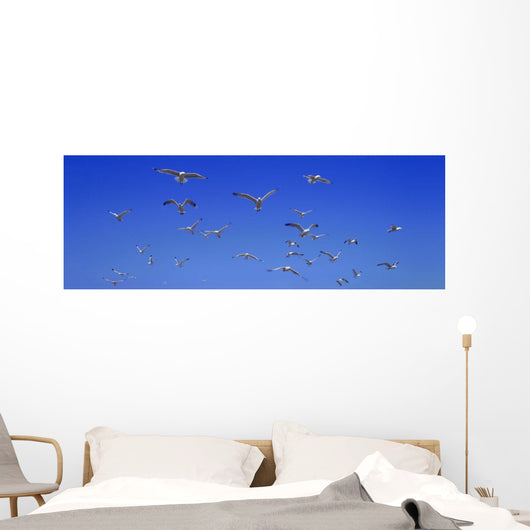 Group Birds Wall Decal Design 1