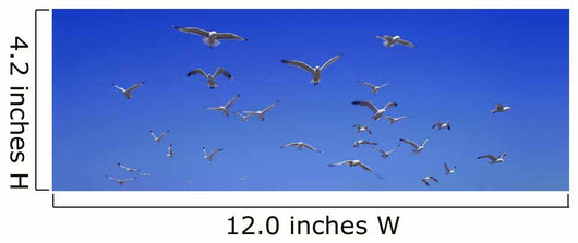 Group Birds Wall Decal Design 1