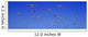Group Birds Wall Decal Design 1
