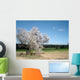 Spring Wall Decal Design 1
