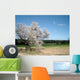 Spring Wall Decal Design 1