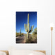 Saguaro Cactus Wall Mural