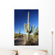 Saguaro Cactus Wall Mural