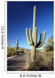 Saguaro Cactus Wall Mural