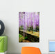 Draping Wisteria Flowers Wall Mural